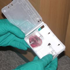 Pręt do stacji AF Advance, metalowy, 50 szt.