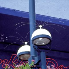 Daddi Long Legs 1,3 m