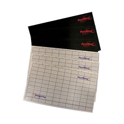 Lep do lamp Chameleon® 1x2, 2x2, podziałka, 6 szt.