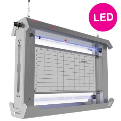 Chameleon Stellaris IP, stal nierdzewna