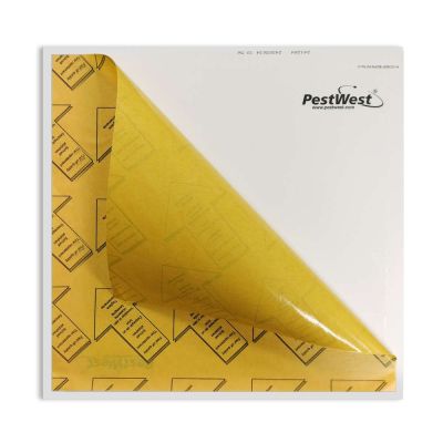 Lep do lamp Sundew, Sunburst, 3 szt.